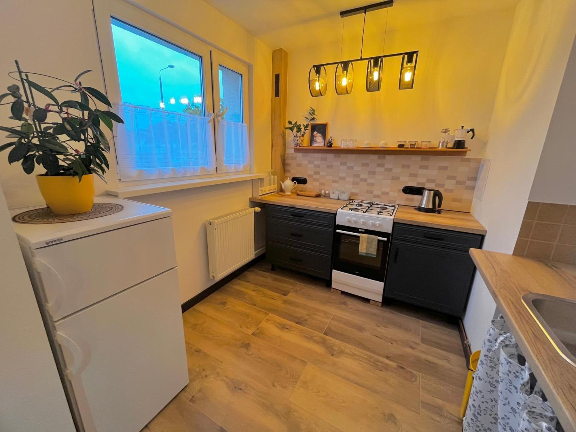 Apartment U Reni